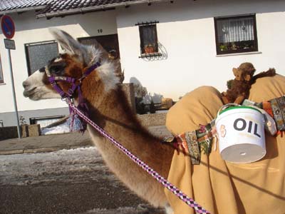 aumzugdaschau4.jpg